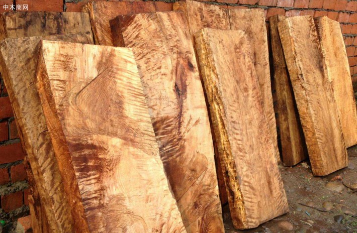 百科 名词 木材种类 金丝楠木 金丝楠木板材的优缺点及价格?
