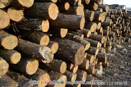 俄罗斯原木进口政策限制 进口优势缺失