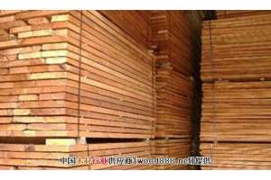 进口木材企业的发展困境