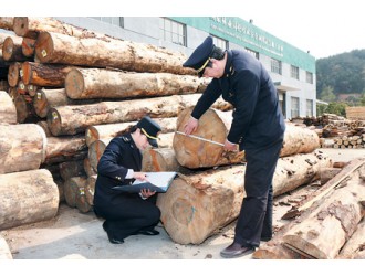 浙江湖州检验检疫局对进口木材进行检疫监管