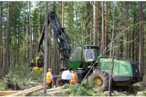 俄罗斯可能很快将使用完经济木材