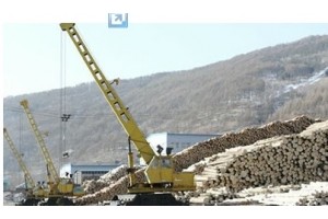 吉林临江林业局贮木场采取新举措保证木材生产