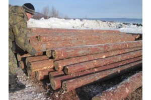 俄罗斯原木法案2月1日生效