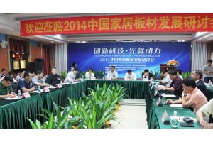 2014中国家居板材发展研讨会在佛山举行