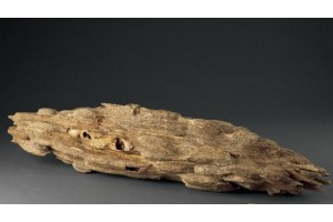 世界上最贵最稀有的木材——沉香木