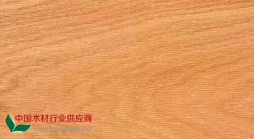 QQ图片20141109203515