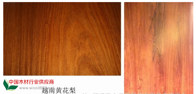 QQ图片20141123141401