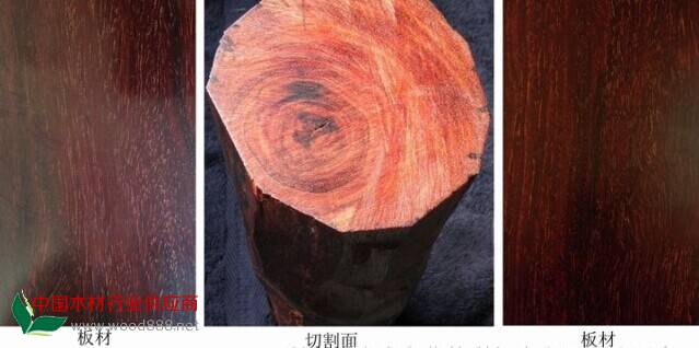 QQ图片20141123142222