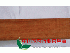 供应湖南康巴斯《门格》，正宗康巴斯，康巴斯厂家图3
