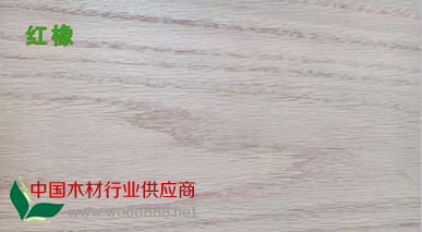 QQ图片20150112192133