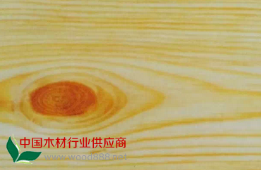 QQ图片20150112195834