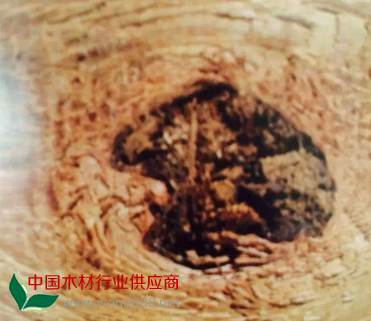 QQ图片20150112200239