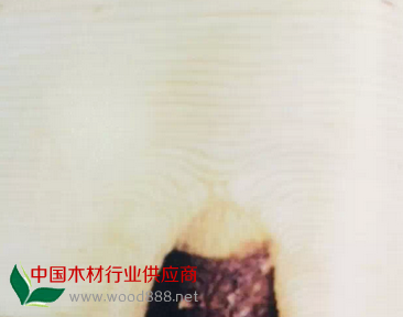 QQ图片20150112200651