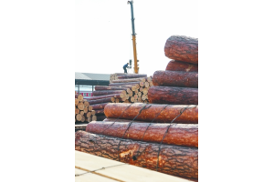 木材需求增加