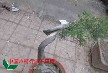 QQ图片20150125204236