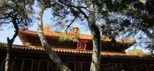建筑体量往往也比较大
