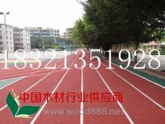 溧水塑胶体育场地报价--舜旨体育建设