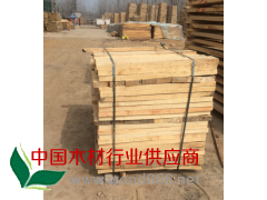 批发白杨木图2