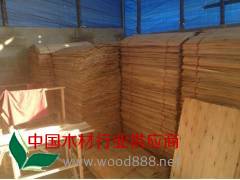 供应优质桉木单板，各规格图3