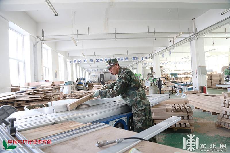 绥芬河边境经济合作区一家木材加工制造企业。东北网记者 白林鹤 摄