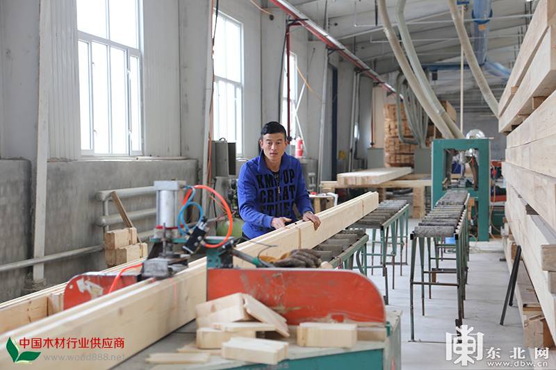 绥芬河边境经济合作区一家木材加工制造企业。东北网记者 白林鹤 摄