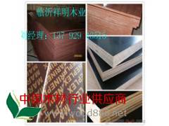 临沂胶合板厂家直销建筑模板图3