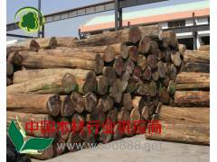 供应正宗缅甸柚木原材/原木 直径40-1米以上图2