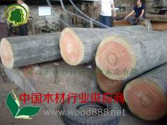 供应户外园林用冰片香/山樟原木(户外地台板花架凉亭葡萄架)图2