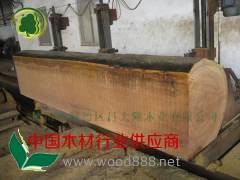 供应户外园林用冰片香/山樟原木(户外地台板花架凉亭葡萄架)图3