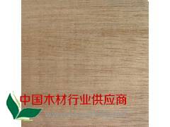 红柳桉原木新货供应(直径60-1.3米)图3