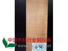 供应80公分以上的西施(贝壳杉)原木图3