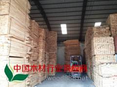 东莞兴富林木业长期供应优质国产橡胶木自然板2.5/3.0图3