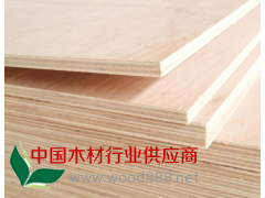 专业生产 胶合板 细木工板 多层板 大量批发图1