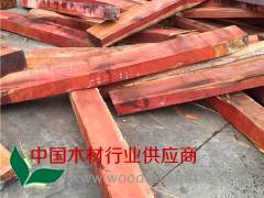 赞比亚血檀精方现货出售图3