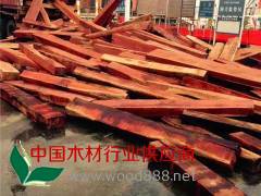 赞比亚血檀精方现货出售是制作古典家具的上等用材图3