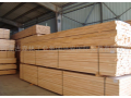 内蒙古森林工业集团兴安国际贸易公司--板材