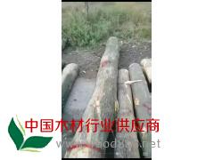 塞尔维亚白腊ABC图3