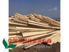 可定制 各种规格 杨木板材 杨木毛边材 杨木直边材 杨木条