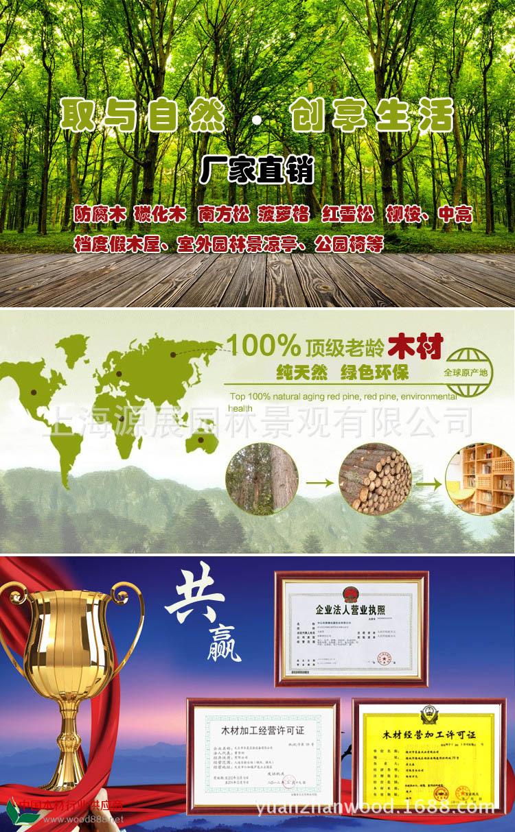 13.webp