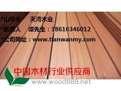 上海哪里的山樟木厂家价格便宜 山樟木多少钱一方图1