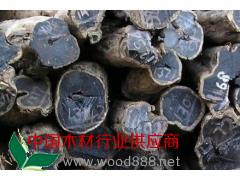 供应缅甸黑酸枝原木图2