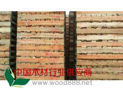 聚源木材_木材价格_木材批发图1
