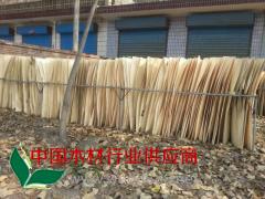 专业生产杨木木皮 杨木单板 大量批发