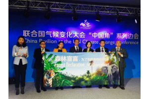 中国木材与木制品流通协会 在联合国气候大会发起《森林宣言》
