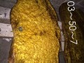 云南怒江木材-缅甸黄金樟，和缅甸金丝楠