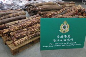 香港海关截获走私木材 总值约570万港元