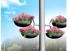 青州弘景园林绿化有限公司  垂吊牵牛  花柱  花墙专用花图1