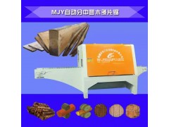 龙创MJY卧式自动分中圆木多片锯图2