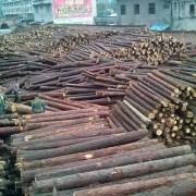 勤森木材加工厂