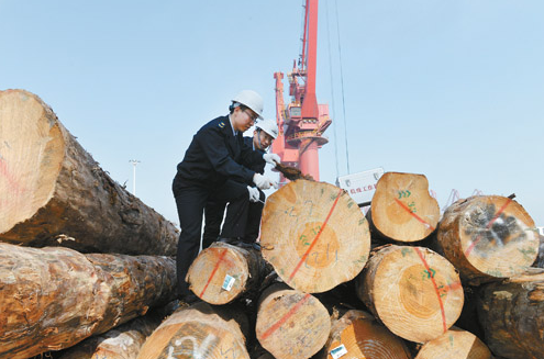岚山口岸木材进口量增长